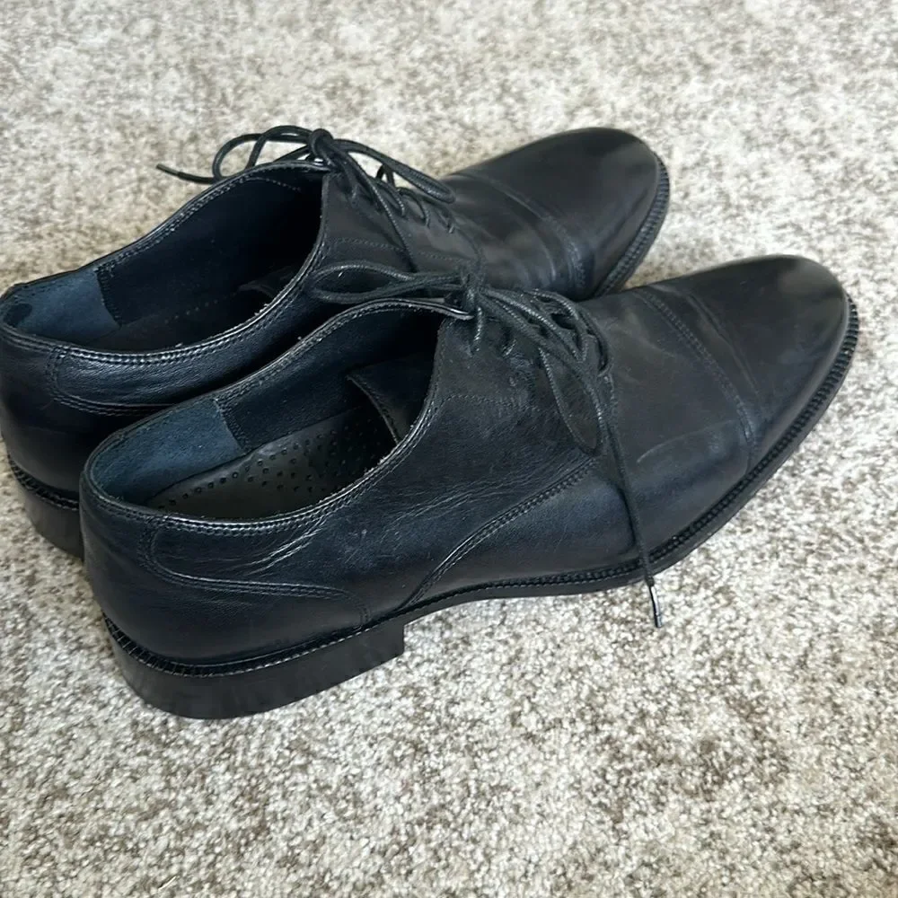 Cole Haan Modern Essentials Waterproof Cap Toe Oxfords 12